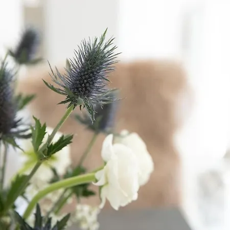 Am Stadtpark * Schwäbisch Hall