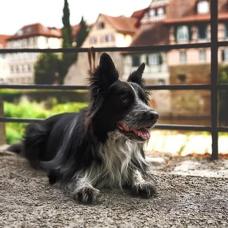 Appartamento Am Stadtpark *