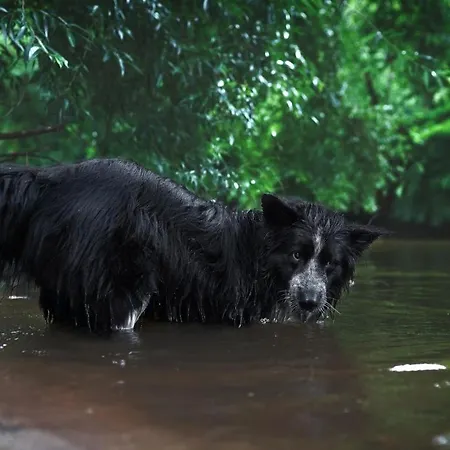 Am Stadtpark Schwäbisch Hall